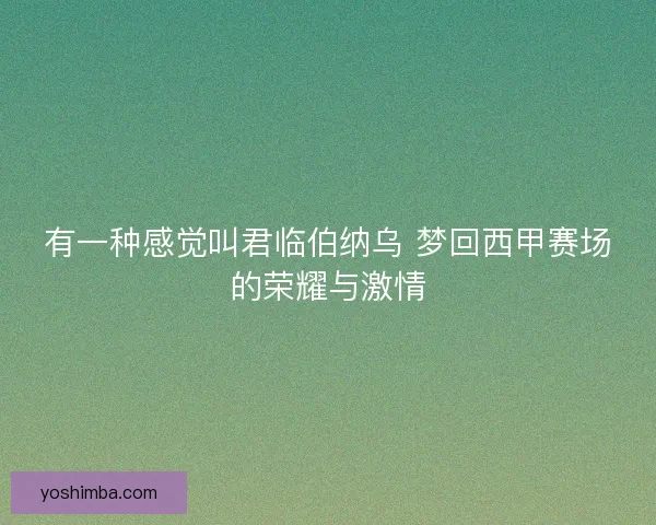 有一种感觉叫君临伯纳乌 梦回西甲赛场的荣耀与激情